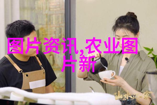 金线莲种子价格我都不知道这玩意儿怎么那么贵