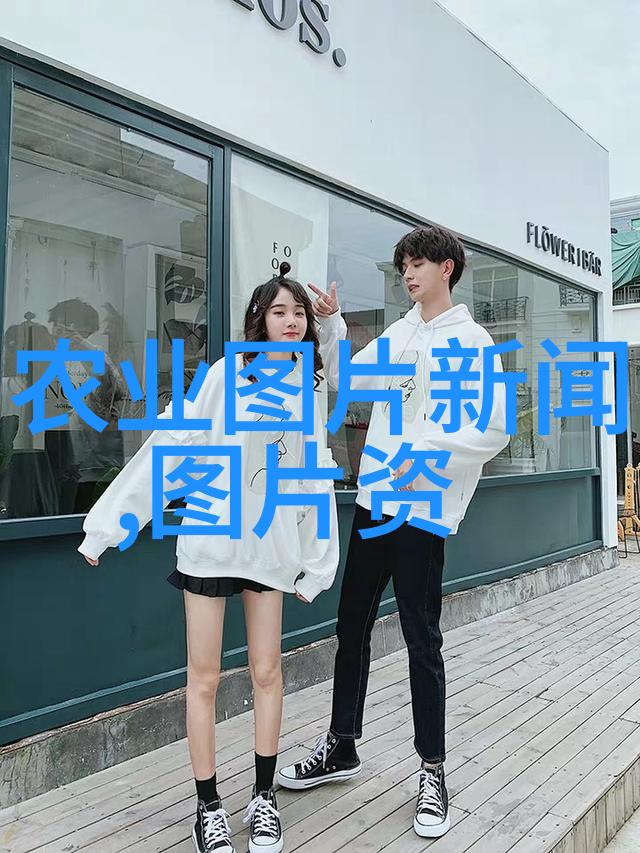 肥胖猪的生态影响与饲养管理策略
