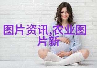 新手养蜂入门技术视频从基础知识到实战操作的全程解析