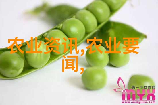乡土医者心得录利用100种野草药改善生活质量