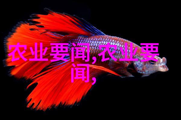 跨界协作共谋可持续发展现代养牛合作新趋势