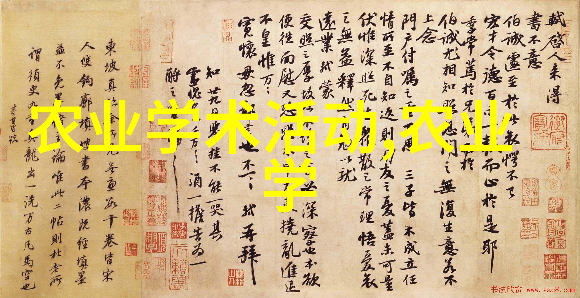 养二亩青蛙真实利润我是怎么在家就能每年赚几十万的