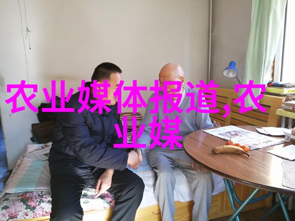 什么是自动化喂食系统它对提高蜜蜂数量有何帮助