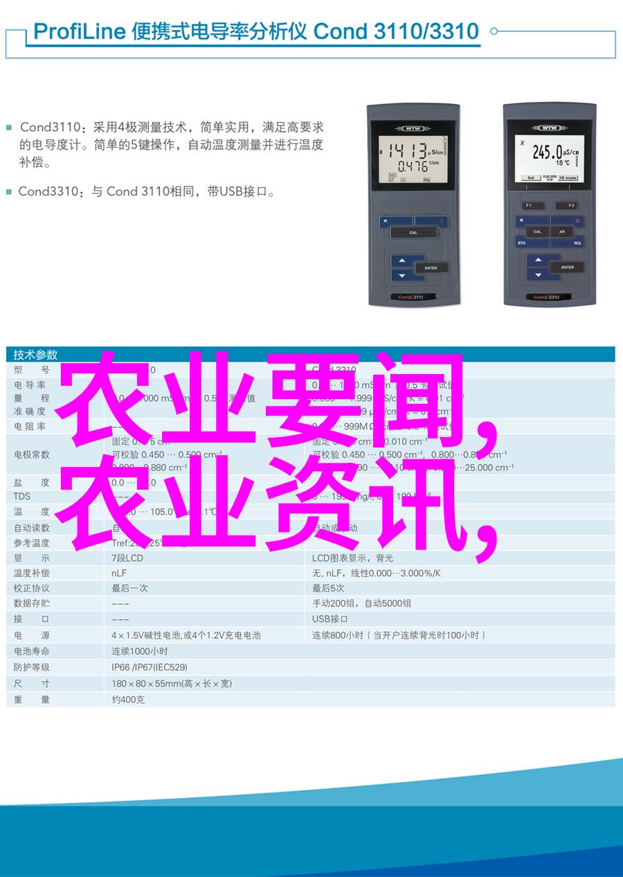 无土栽培一亩投入多少现代农业技术的应用与经济效益分析