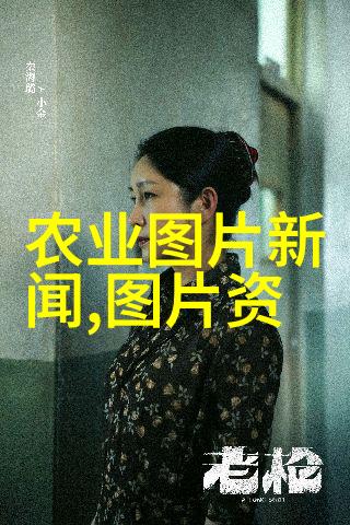 农业的由来人类社会发展史上的土地利用与生产方式变革