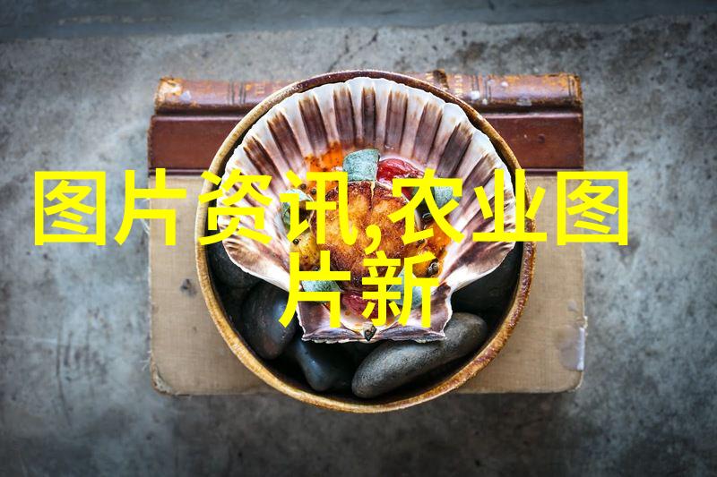 星辰变小说阅读全集宇宙篇章与命运的交织