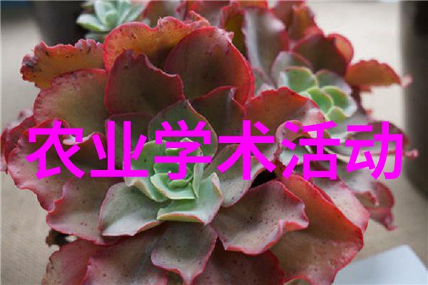 学术农业交流活动方案_学术农业交流发言稿_农业学术交流