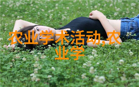 茶叶的秘密揭开一壶古老智慧的芳香