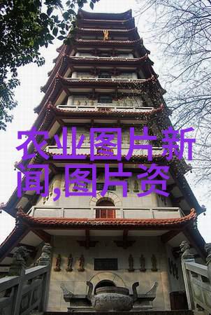 文竹需要多高的光照才能健康成长