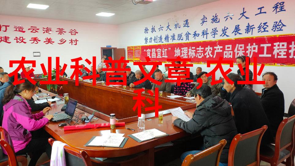 春意盎然探索蚕豆的文化与营养价值