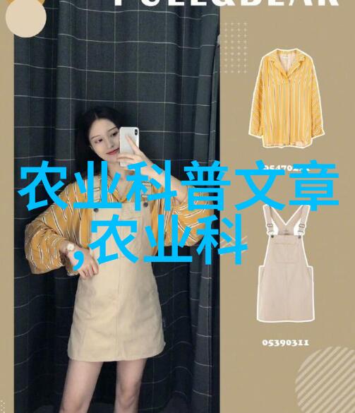 包装之舞机器的精巧编排