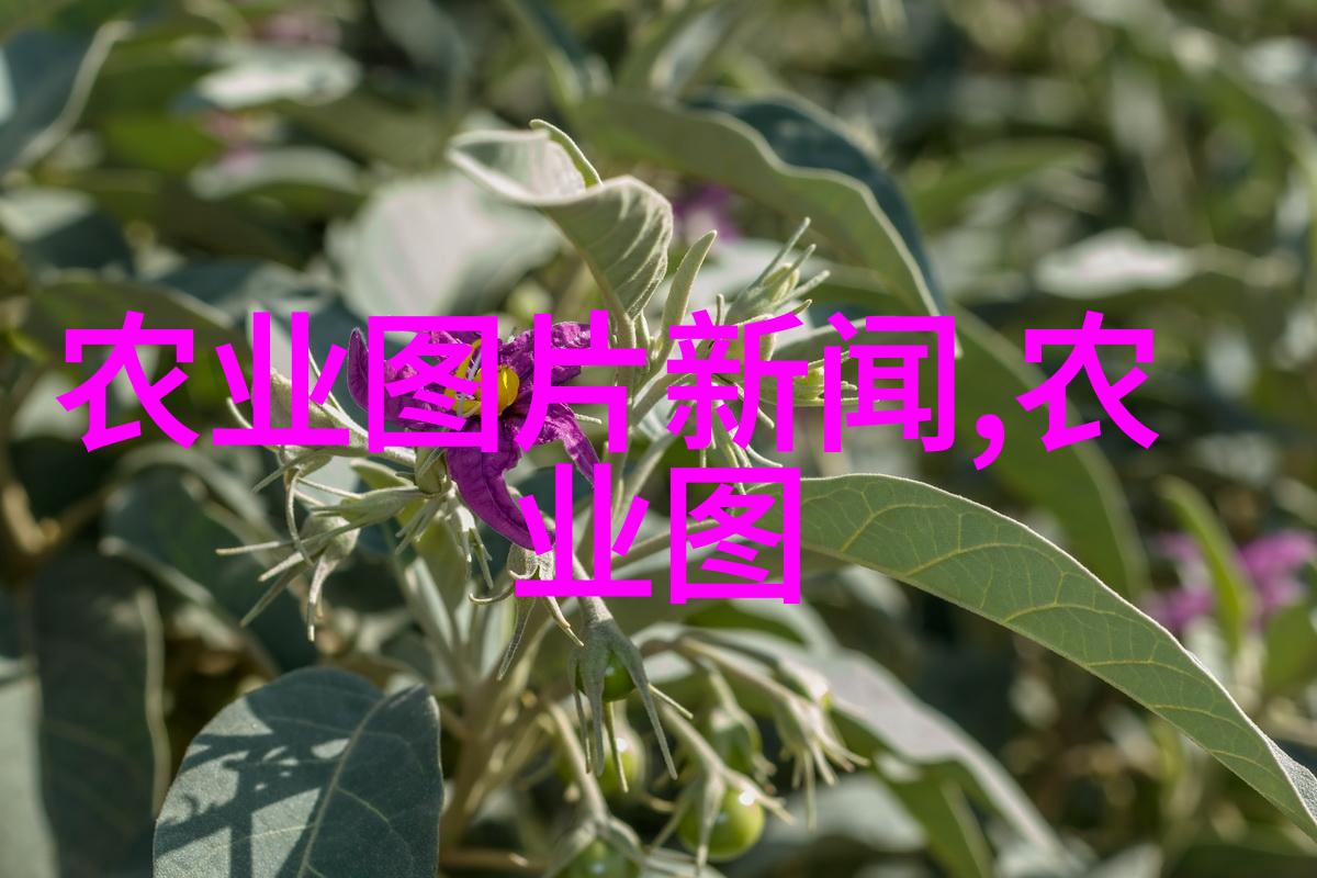选择合适药材种植应该关注哪些因素