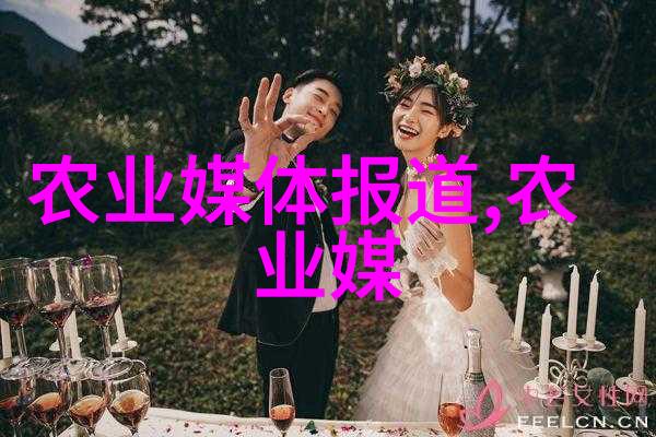 玉米秸秆收割机的未来发展方向探究