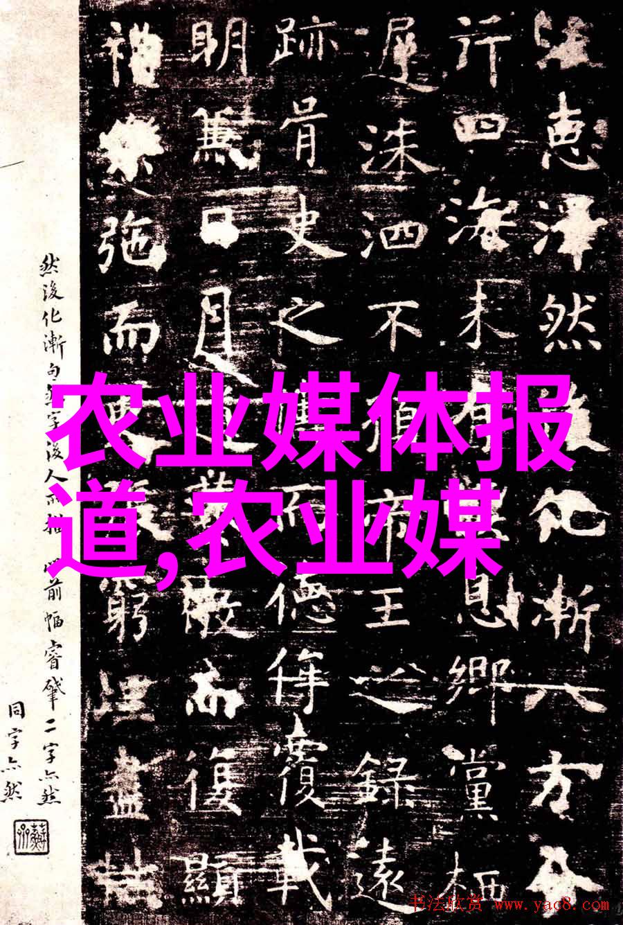 庭院种什么花最旺宅提升家居氛围与美观的最佳植物选择