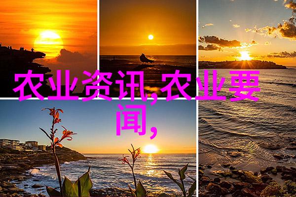 水果的秘密花园解析带种子的图像