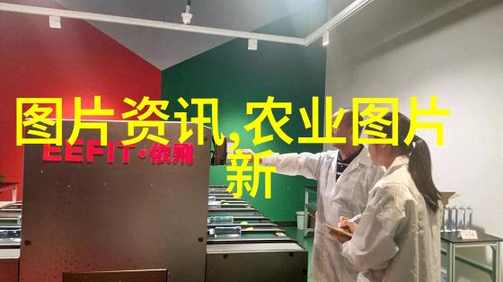 秋色浓染银杏林中漫步的诗意