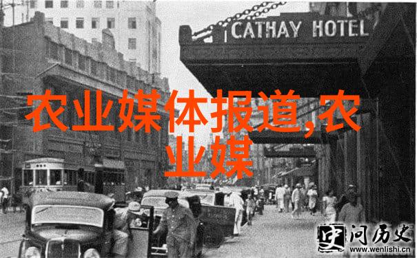 树木价格评估标准的科学实践与创新应用