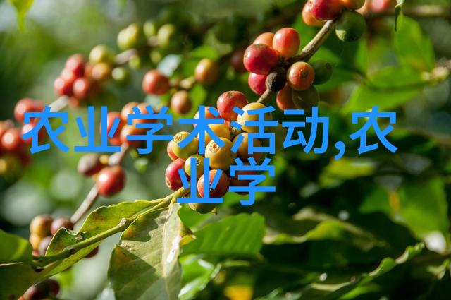 环境友好经济实惠探讨在家小规模生产天然保健品材料