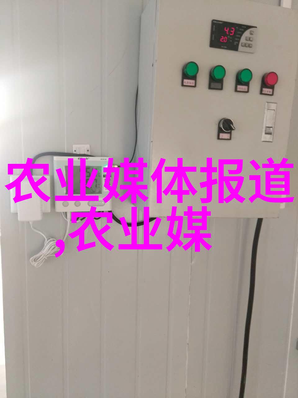 从零到英雄如何成为一名专业的家庭园艺者基于家用新鲜水果和蔬菜手册的实践指南