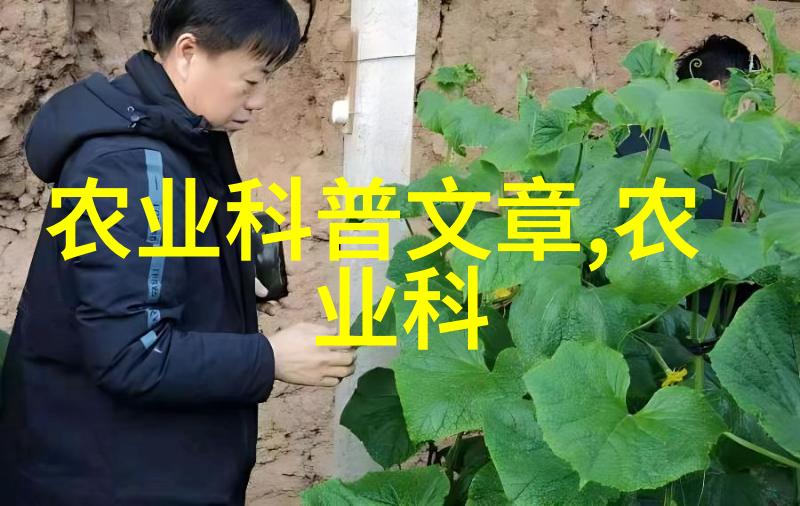 二手1米2旋耕机老张的好帮手