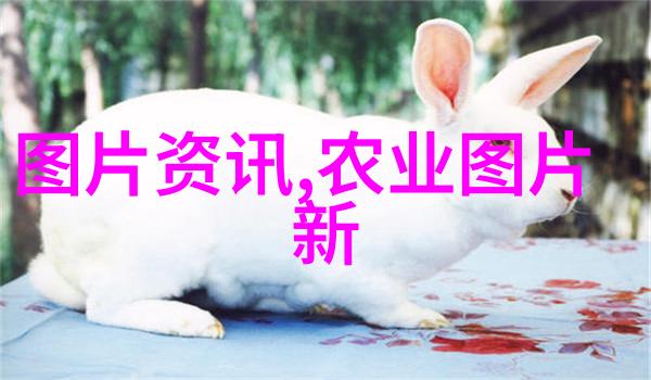 花卉园艺师培育美丽花朵守护自然和谐