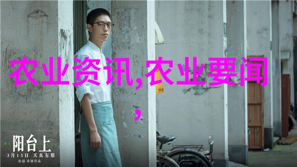 品鉴茶韵探究茶叶的五大特点