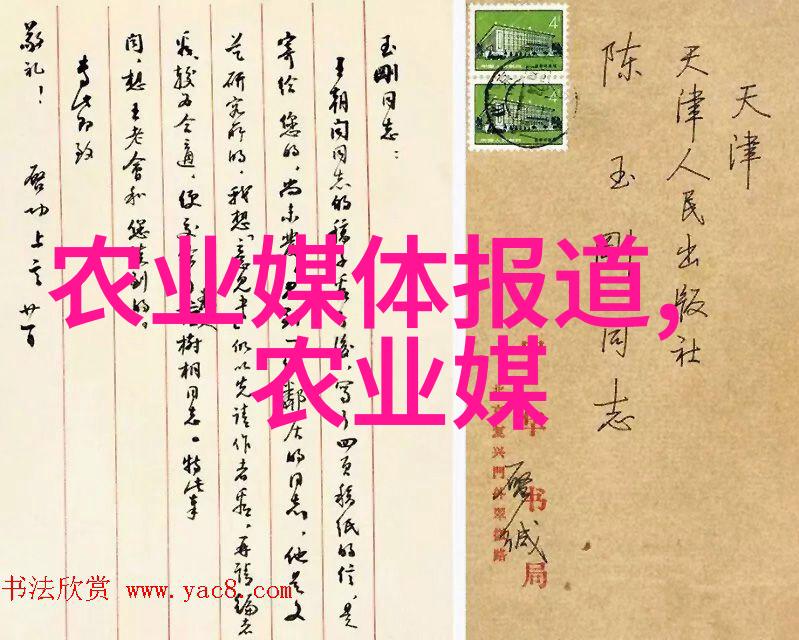 茶香绕径探索中式茶文化的韵味与魅力