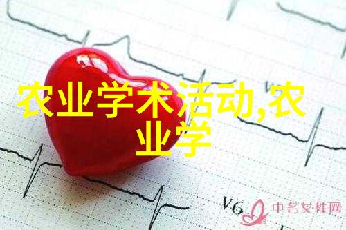 蔬菜大棚温室一亩成本蔬菜大棚建设费用温室农业投资估算