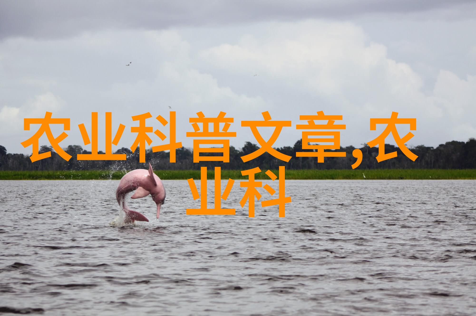 鸡爪槭价格12公分绿意盎然的园艺精品