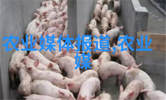 在乡村深处哪种作物能最快致富