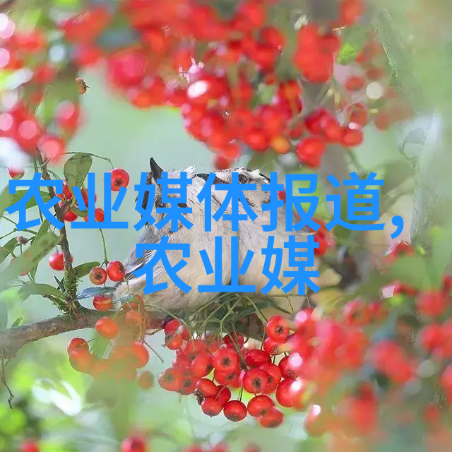 山东轻工职业学院培育创新技能者引领轻工产业发展