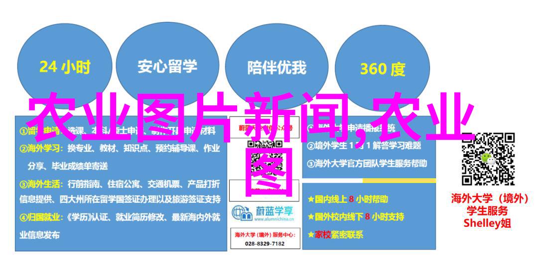 利用多草养殖高效的猪饲料