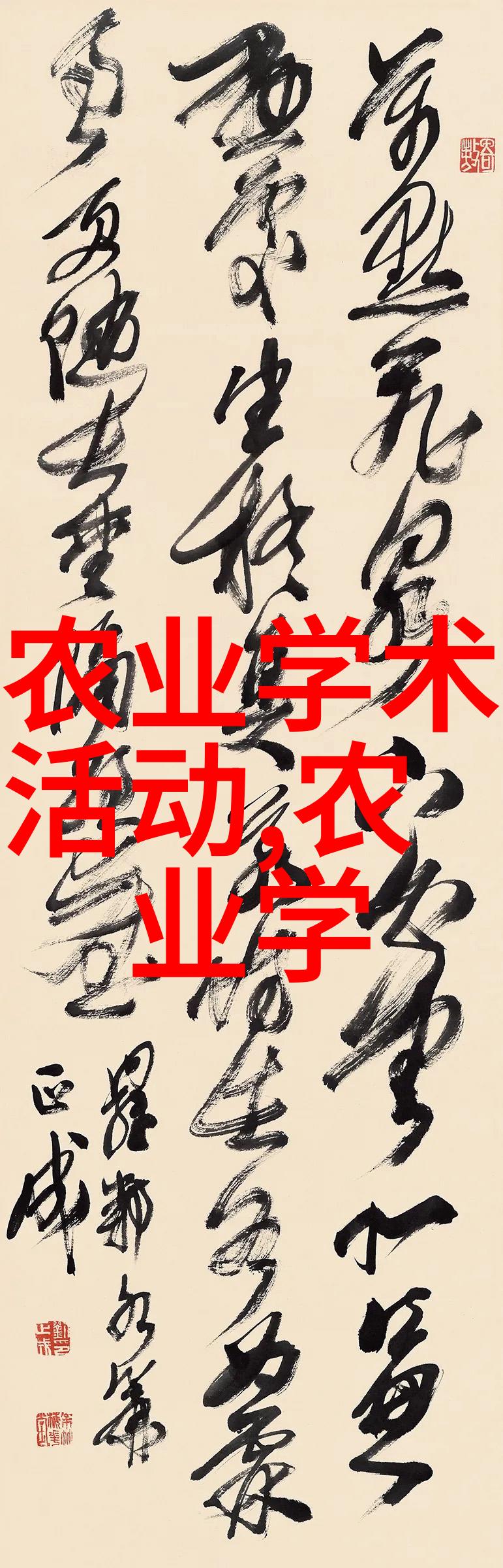 茶艺探究揭秘茶的专业知识