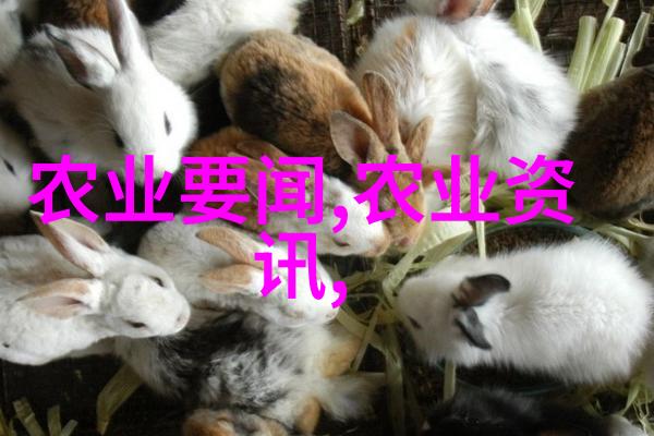 种植什么药材效益好-精选药材揭秘哪些植物让你的健康更有保障
