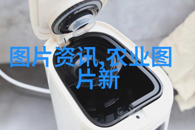 阳台上的绿意盎然如何利用空间种植自己的家庭菜园