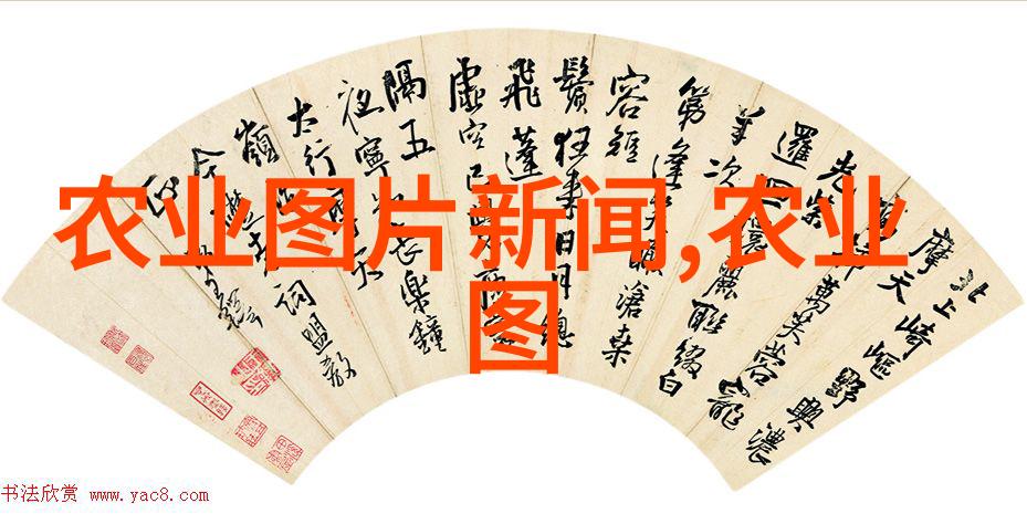 花卉市场批发我是如何在一家小摊上发现了超级便宜的鲜花的