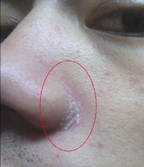 牛羊养殖资讯我是怎么把家乡的牛羊养得又肥又壮