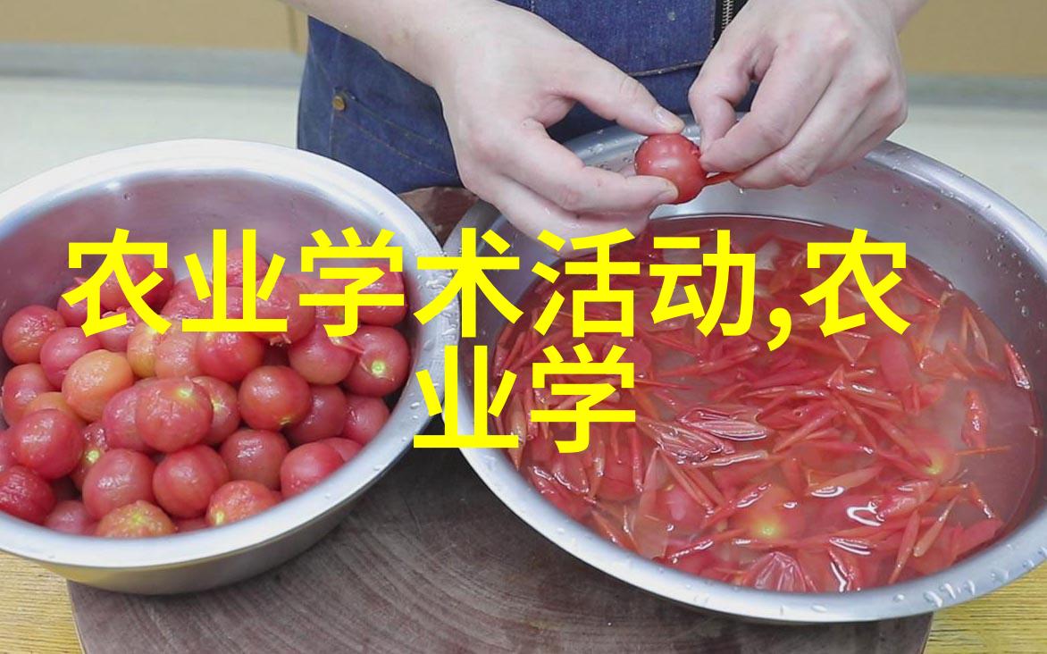 室内种菜技术视频家庭园艺小技巧