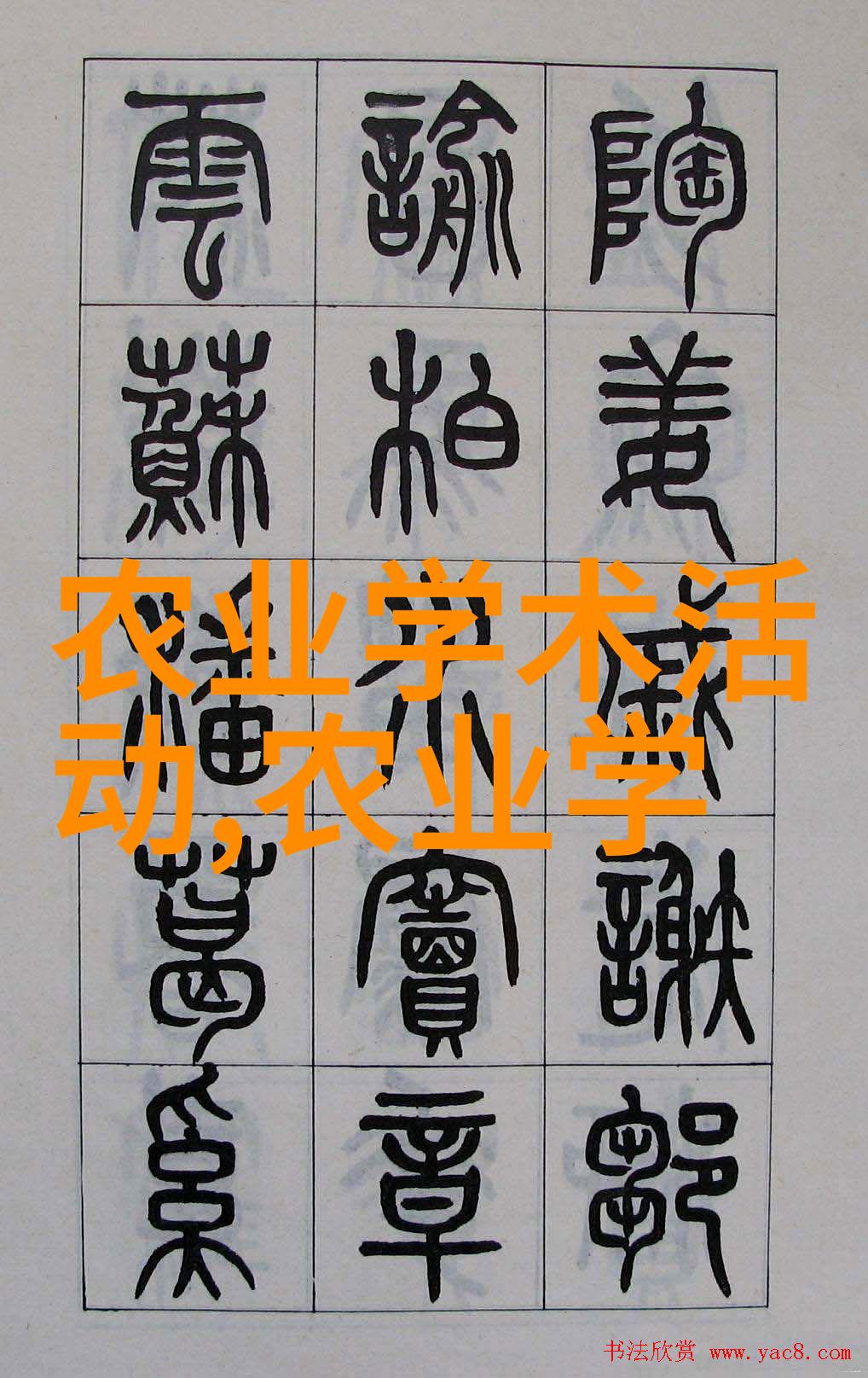 茶叶的长征从古代到现代历史中的那一壶香