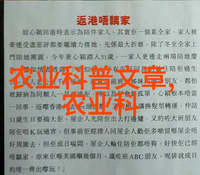 饲料机-智能化养殖革命如何选购和维护高效的自动饲料机