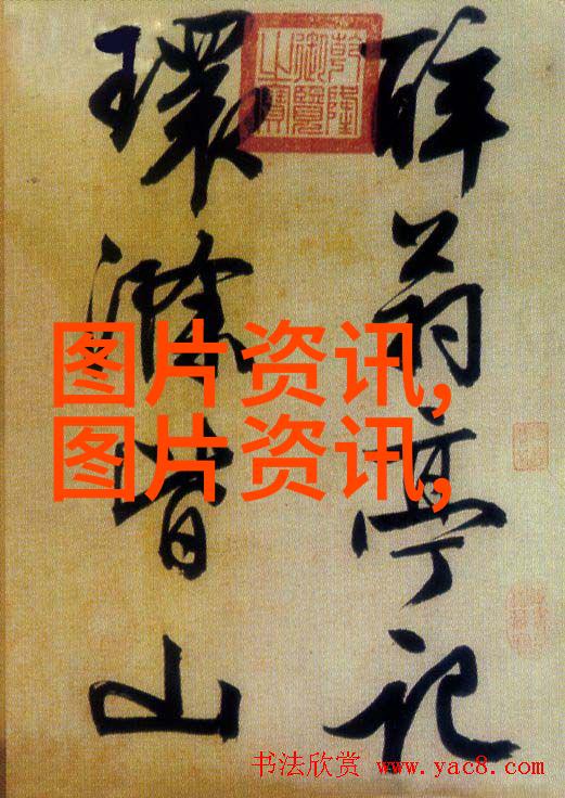玉米种子农作物的珍贵遗传资源