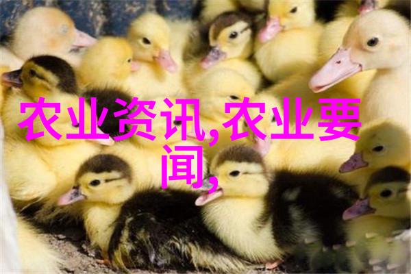 民间药材种植指南揭秘比较容易种植的草本宝藏
