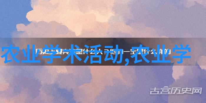 现代化养殖盛世大型养鸡场的管理与创新实践