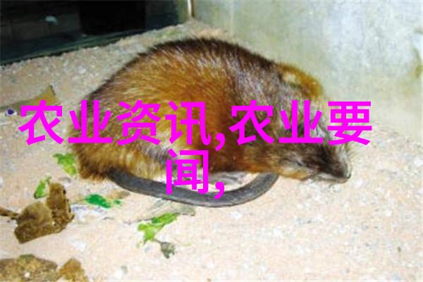 农业机械-铁甲农耕者拖拉机的故事