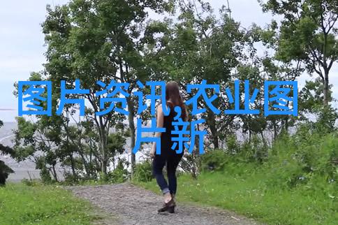 农机作业的精彩篇章铃鼓响起丰收舞动