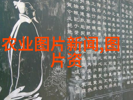 女士的茶香探索适合女性口味的精选茶叶