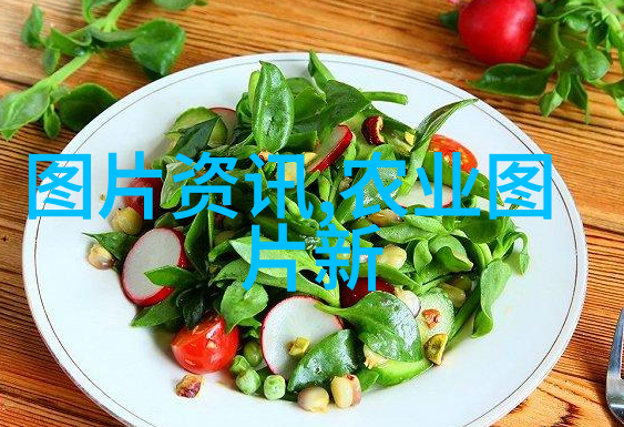 草莓生长周期管理技巧及园艺知识分享