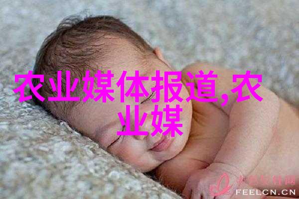 云南普洱古树茶园的采药艺术