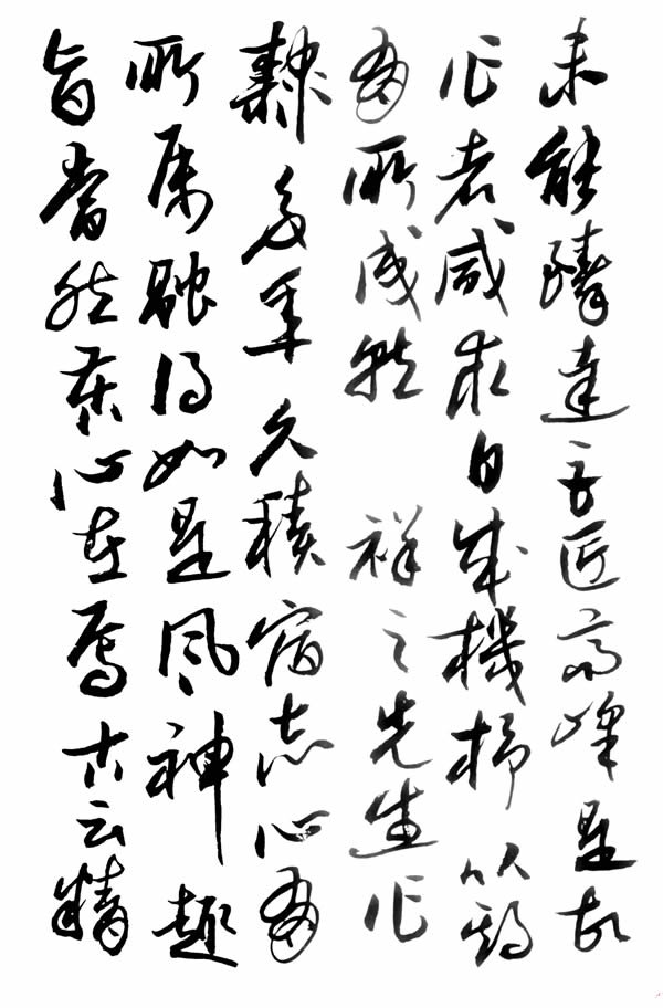 智能养殖系统在现代农业中的应用与挑战研究
