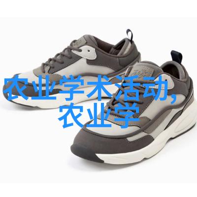 冬青价格表让你的家园也能笑容满面